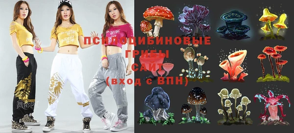 спайс Алексин